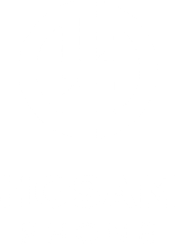 حسام فون